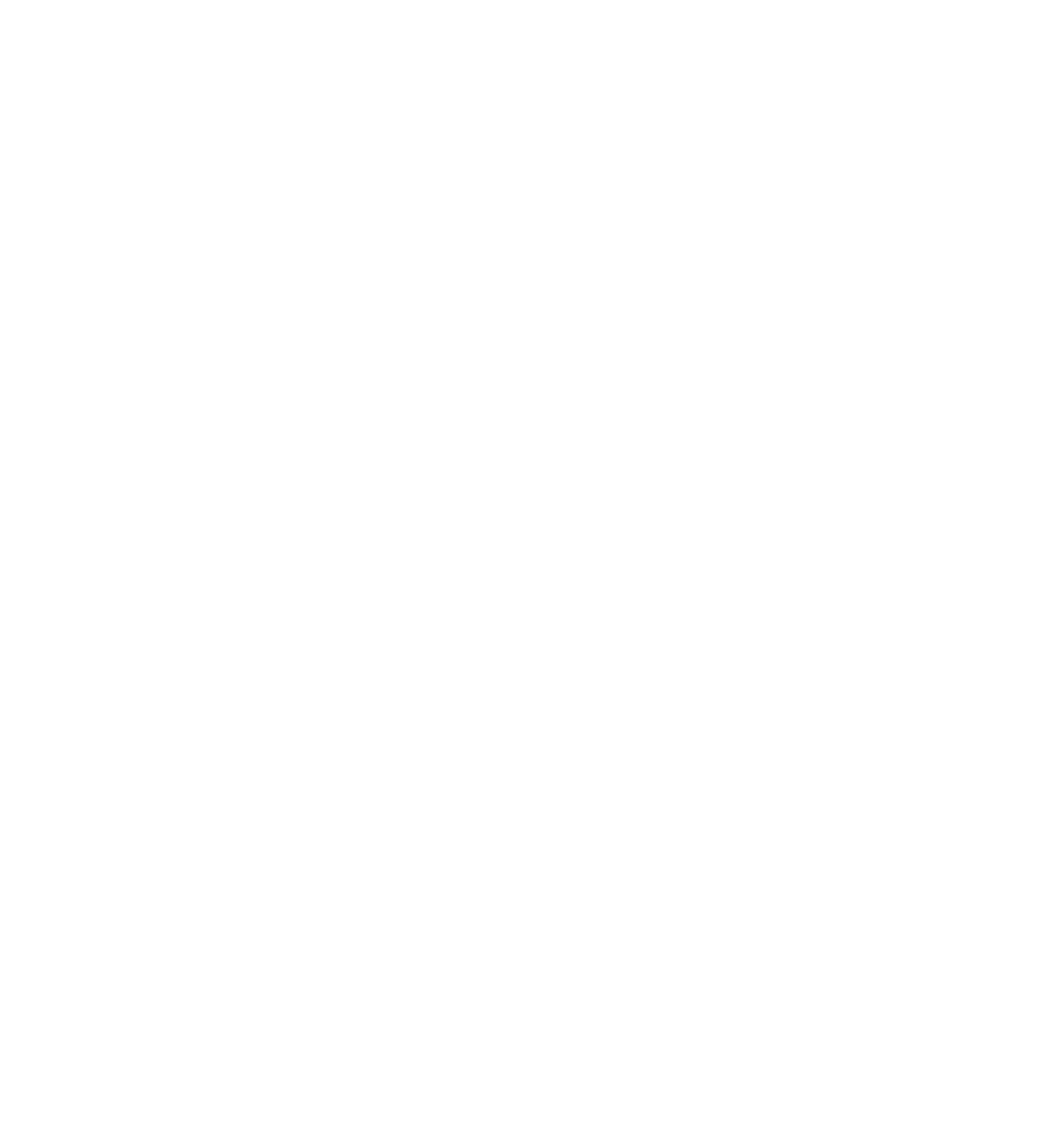 بچه کوالای گمشده